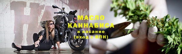индика Волосово