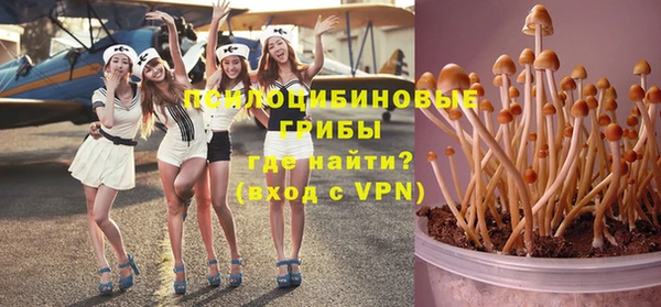 индика Волосово