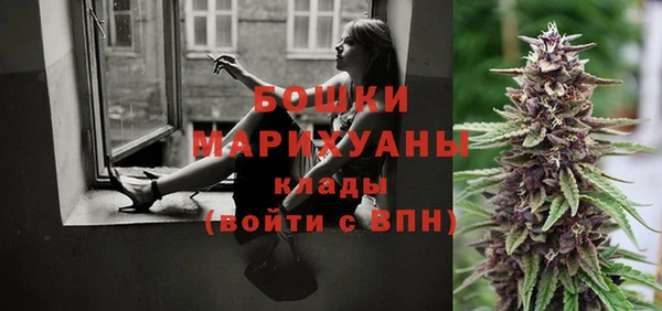 индика Волосово